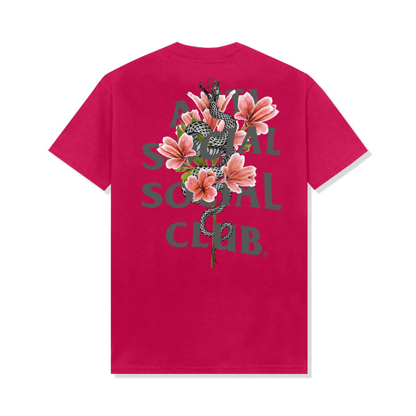 Anti Social Social Club Hokkaido - Pink